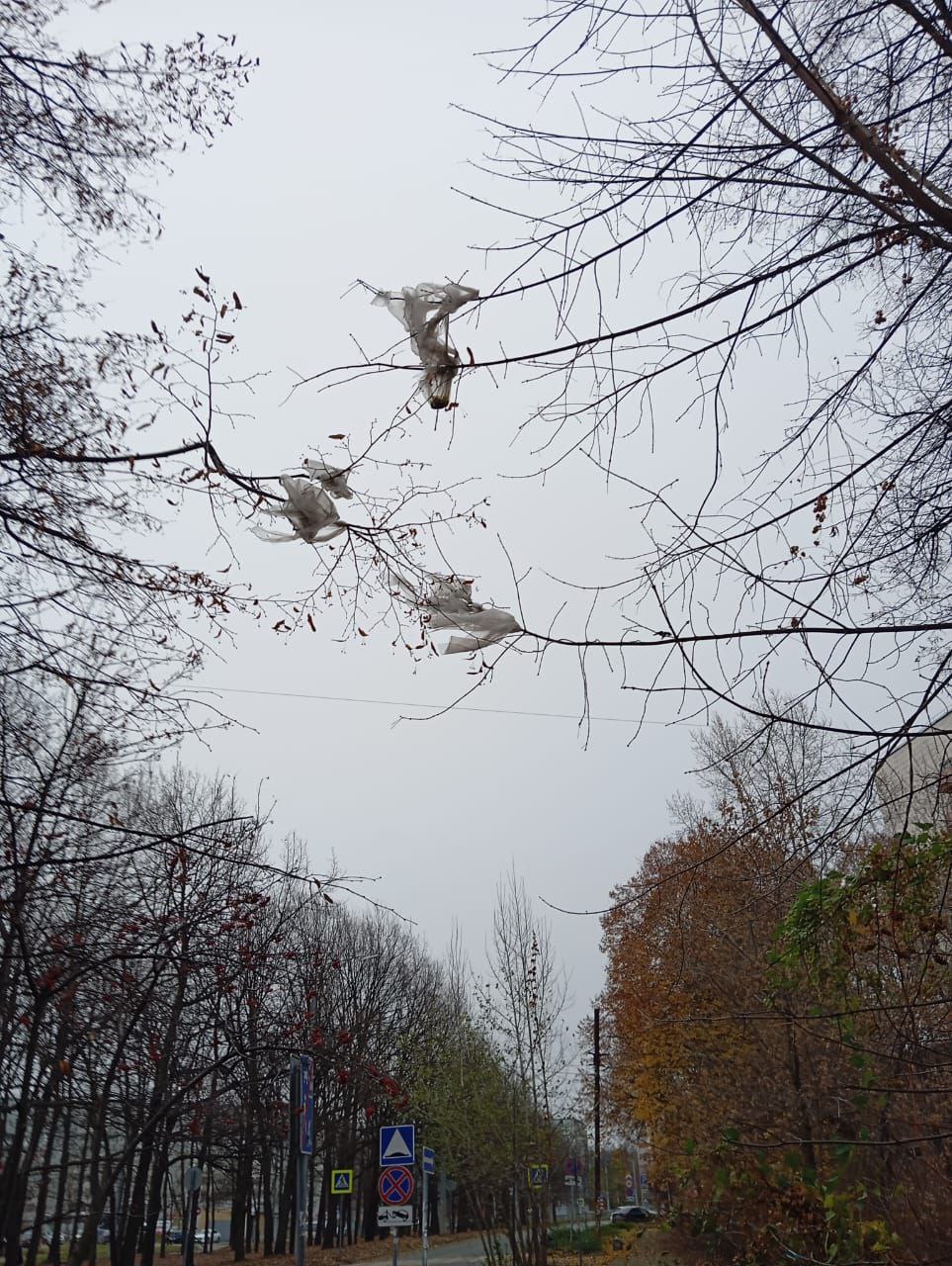 С постоянным читателем «Казанских ведомостей» Андреем Черенковым наша газета проводила экологическую фото акцию