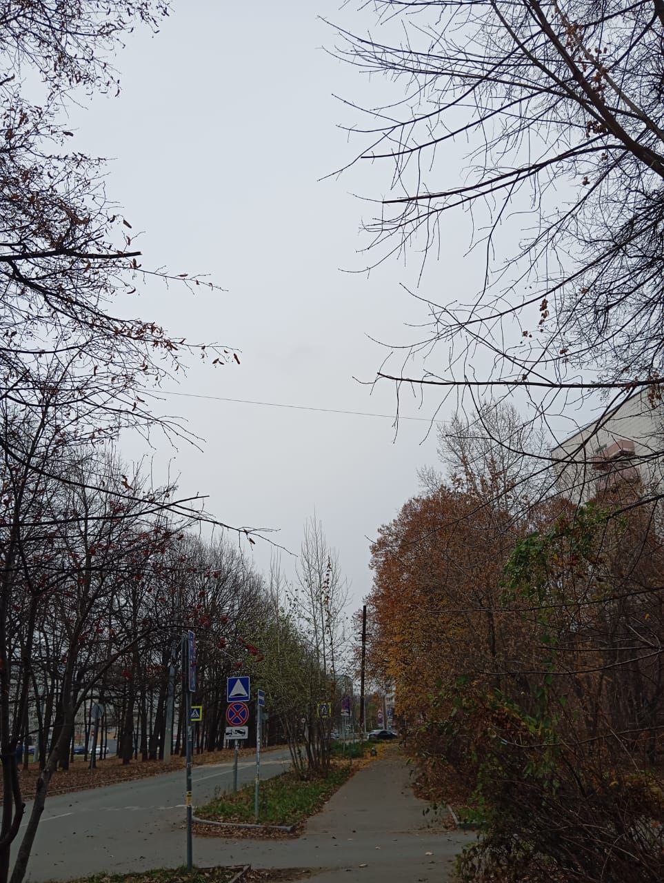 С постоянным читателем «Казанских ведомостей» Андреем Черенковым наша газета проводила экологическую фото акцию С постоянным читателем «Казанских ведомостей» Андреем Черенковым наша газета проводила экологическую фото акцию