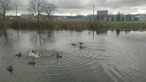 Впереди двухдневная рабочая неделя( Как провели длинные выходные?