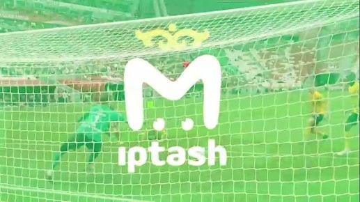 Белый нос, шары и выпивка — так отпраздновал 12-летие Нгуву из зооботсада