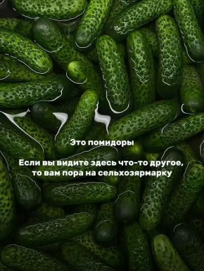 Никакого обмана зрения. На сельхозярмарках вас ждут только натуральные продукты от местных фермеров