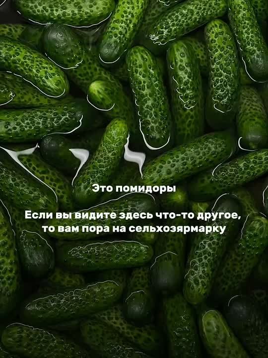 Никакого обмана зрения. На сельхозярмарках вас ждут только натуральные продукты от местных фермеров