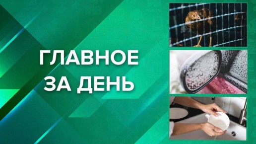 ГЛАВНОЕ ЗА ДЕНЬ:. 1 Карантин из-за вспышки птичьего гриппа ввели в двух районах Татарстана