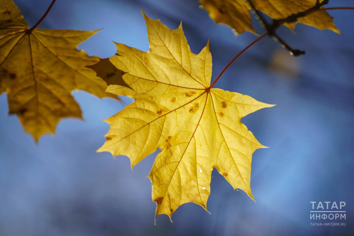 Прогноз погоды в Татарстане на 7-8 ноября: дожди и пониженное давление