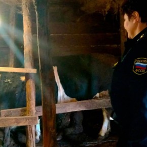 В Татарстане судебные приставы взыскали долг в 580 тысяч рублей с помощью