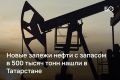 Ученые «Татнефти» обнаружили новые залежи нефти в Северо-Западном Прикамье при изучении одной из скважин Первомайского месторождения