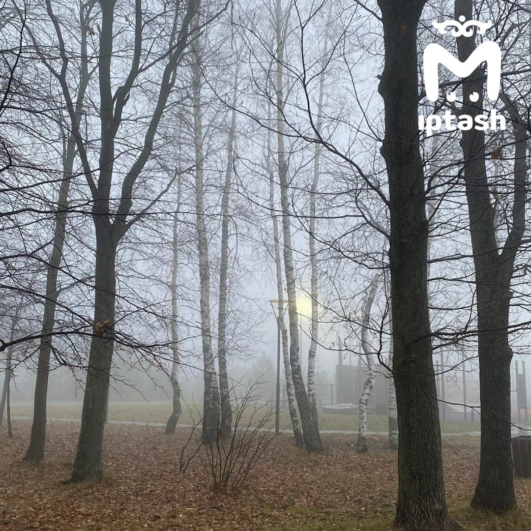 Вот такой густой туман в Верхнеуслонском районе Вот такой густой туман в Верхнеуслонском районе