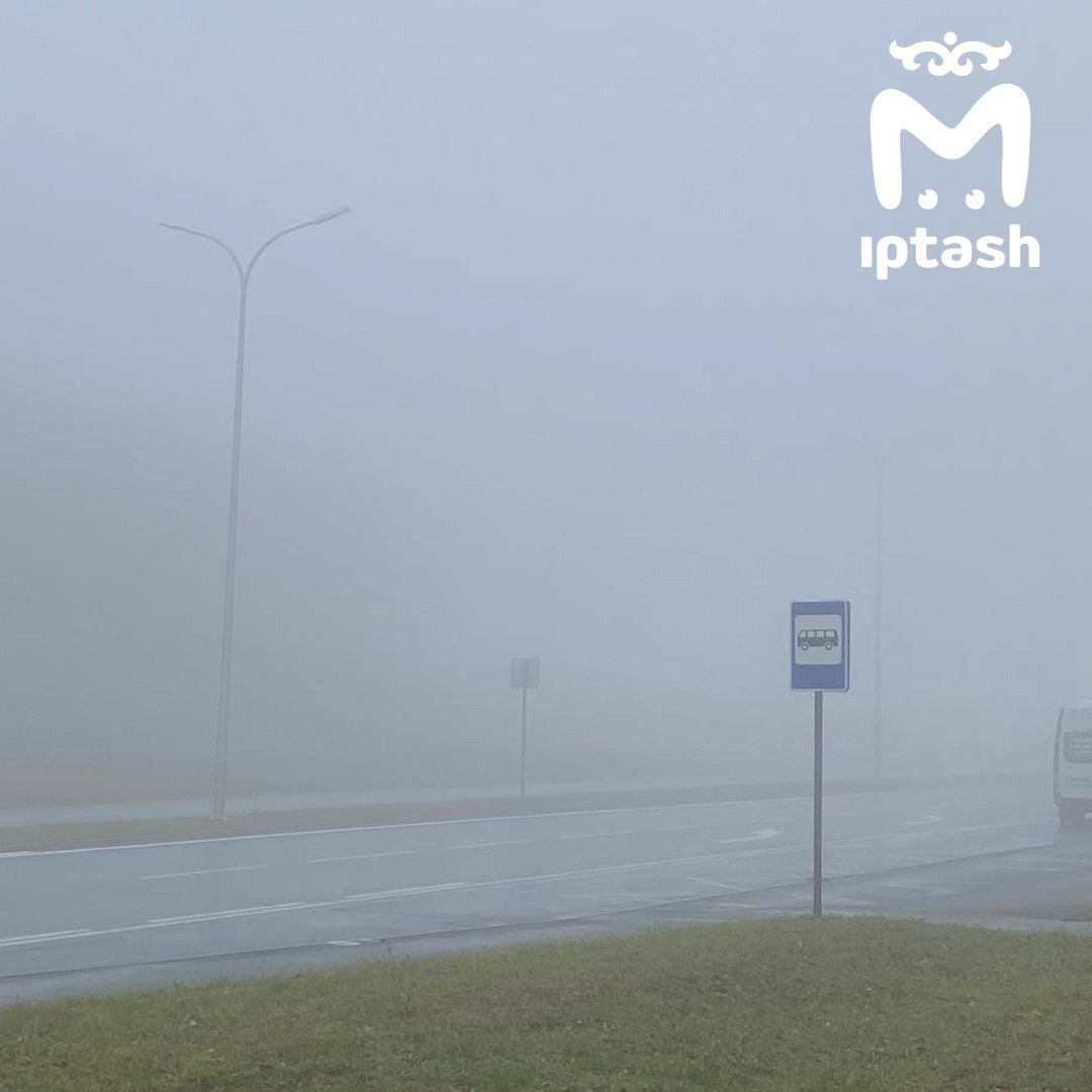 Вот такой густой туман в Верхнеуслонском районе Вот такой густой туман в Верхнеуслонском районе