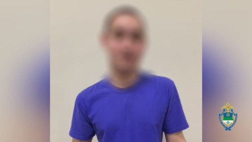 Полиция Коми вычислила пять дропперов, через счета которых прошли 5 млн рублей обманутой сыктывкарки