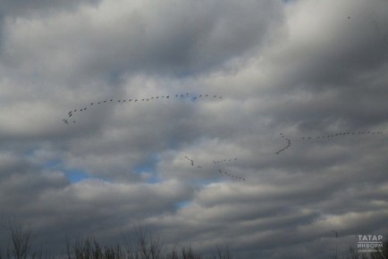 Прогноз погоды в Татарстане на воскресенье, 9 ноября