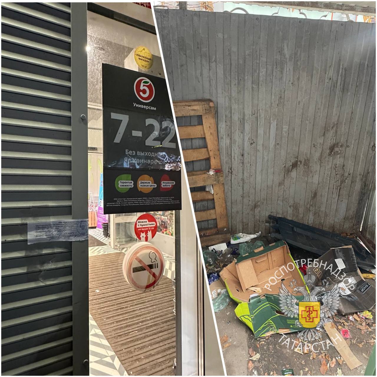 Из-за нашествия грызунов на 20 суток закрыли «Пятерочку» в центре Казани