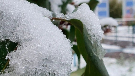 Сегодня ждём снег с дождём, в течение дня потеплеет до +2