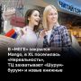 «Районные моллы, встроенные в жилую застройку и ориентированные на ежедневный спрос, останутся устойчивыми, а крупноформатные объекты, подпадающие под повышенный налог, столкнутся с необходимостью глубоких реконструкций», —...