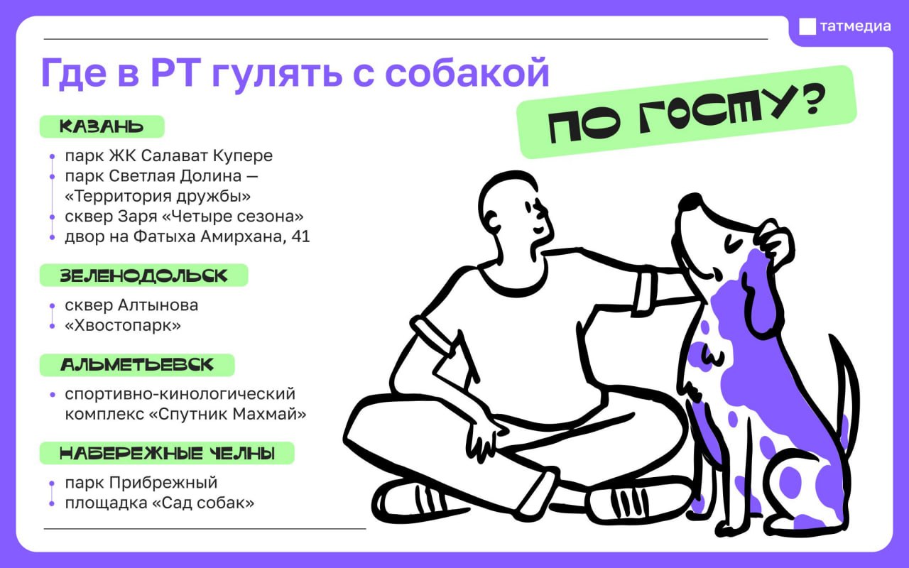 Первые площадки для выгула собак по ГОСТу открыли в Татарстане