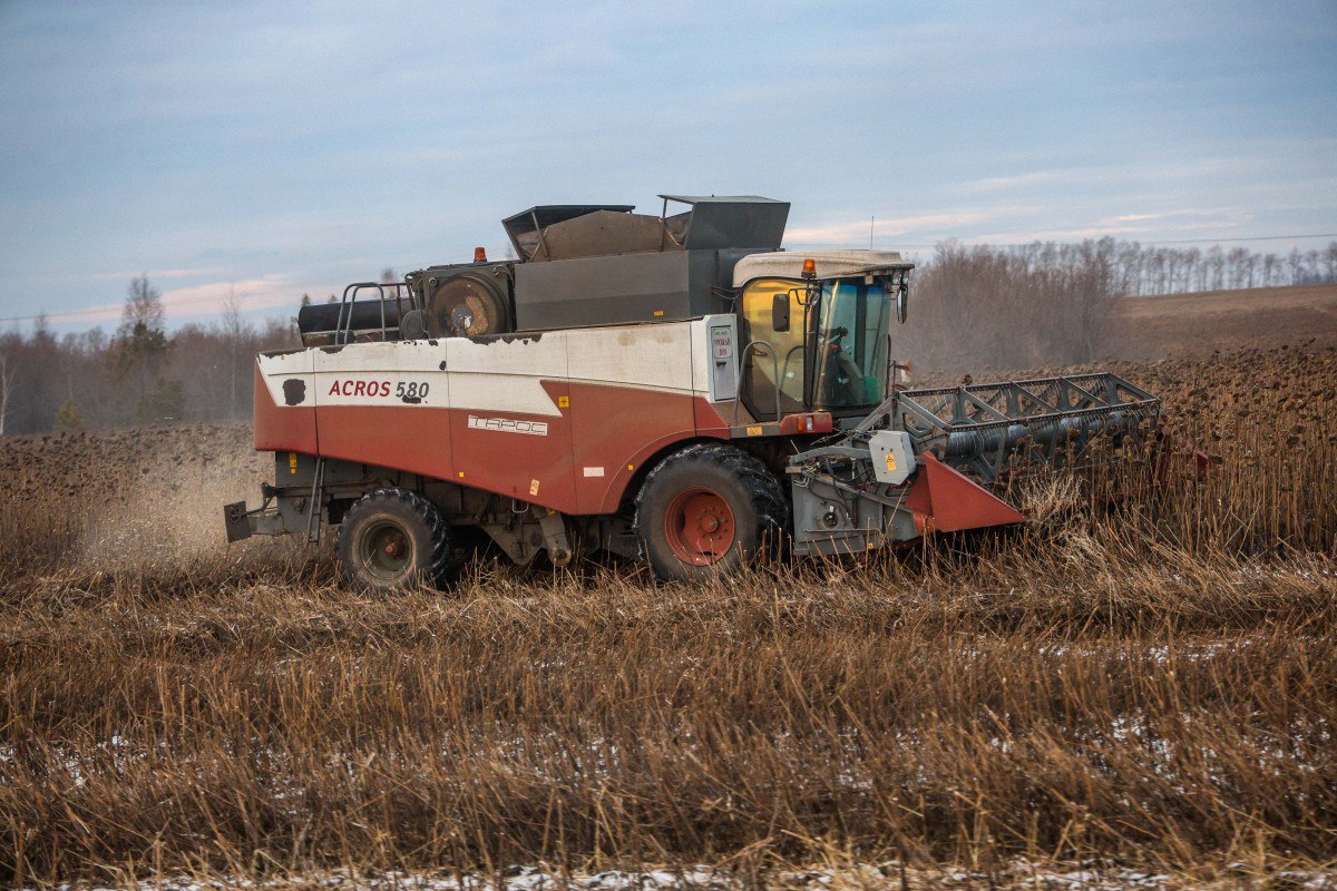 С 652 до 718 млн рублей увеличат господдержку аграриям Татарстана с 2026 года