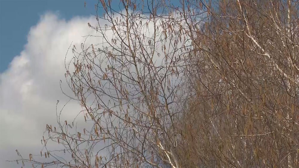 В Татарстане 16 ноября будет облачно с прояснениями