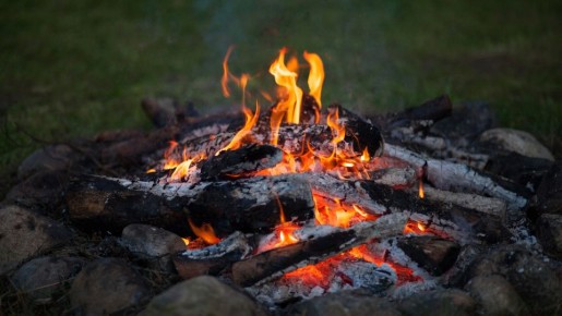 Зола станет настоящей погибелью для растений: никогда не совершайте эти ошибки