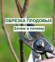 Как правильно обрезать плодовые деревья и кустарники