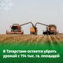Уборочная кампания в Татарстане подходит к своему завершению