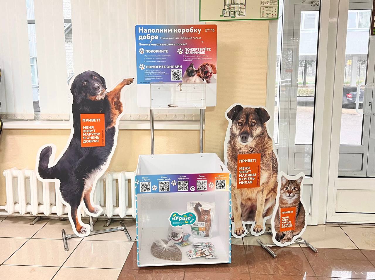 В МФЦ на Школьном бульваре, 2А появился короб добра