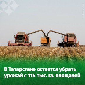 Уборочная кампания в Татарстане подходит к своему завершению