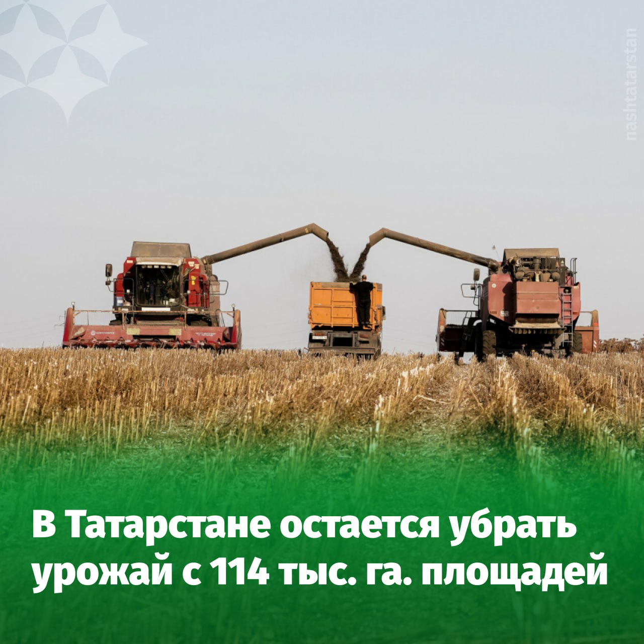 Уборочная кампания в Татарстане подходит к своему завершению