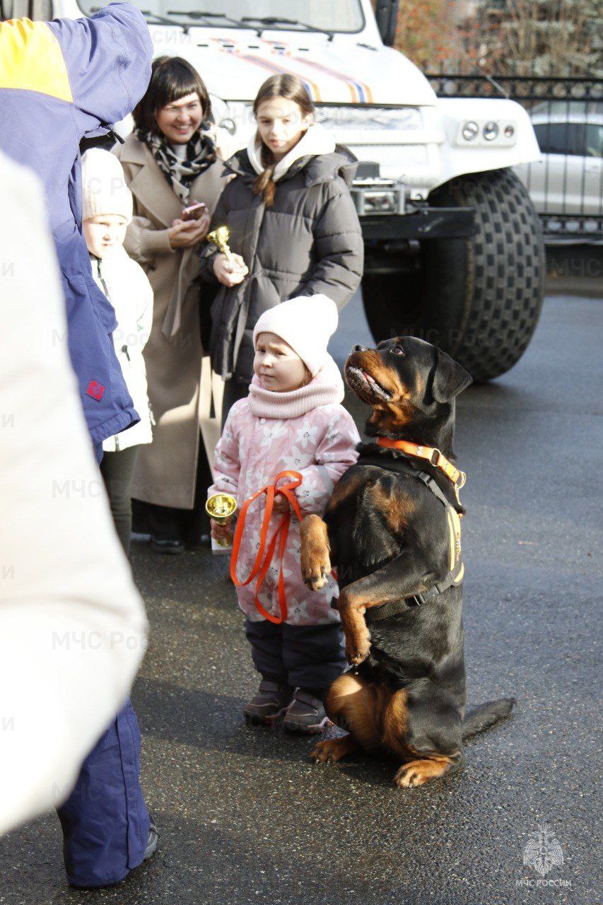 Конкурс видеороликов о безопасности завершился праздником Конкурс видеороликов о безопасности завершился праздником
