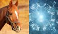 Непередаваемые и загадочные: о том, как знаки Зодиака вдохновляют на выбор лошади