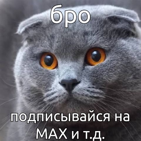 Mash Iptash будет с вами и в лифте, и на парковке