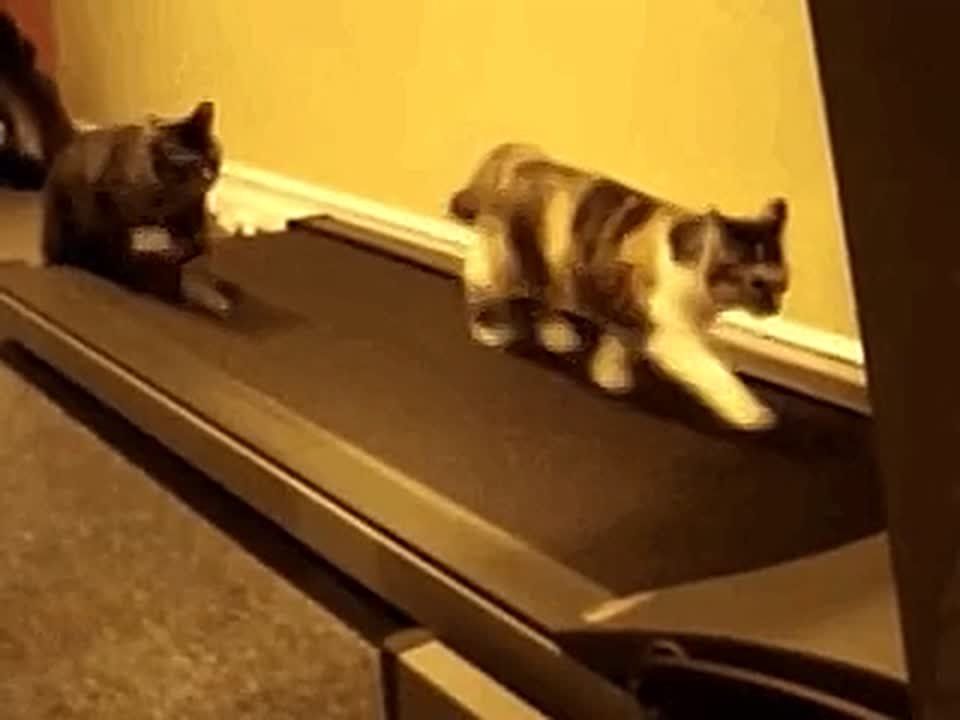 ��������� ����� � ����� ������� �� ����� ����� �������, ������� �������� ����� �����