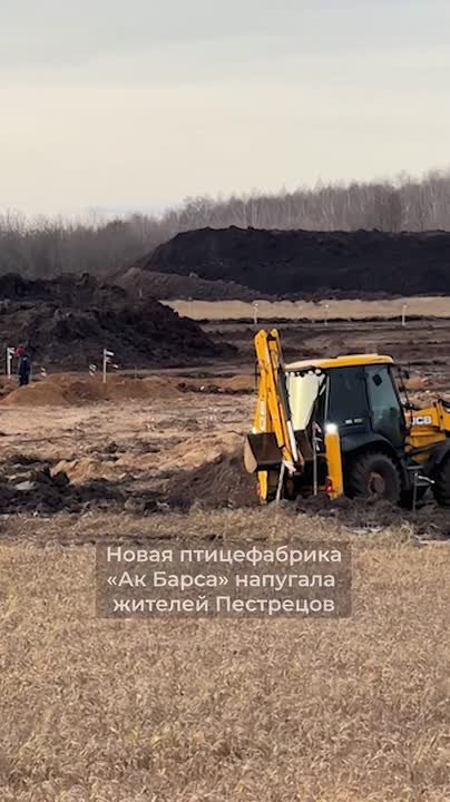 Глава СКР Бастрыкин взял на контроль ситуацию со строительством птицефабрики в Пестрецах из-за жалоб жителей