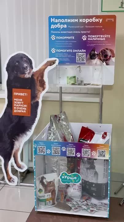 � ������������� ������ ������� � ����� ������ �����!