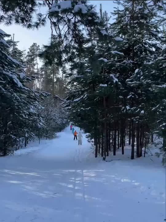 � �������������� �� ����������, ��� ����������� ���� ��������� ����������