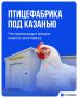 Что известно о ситуации с птицефабрикой в Татарстане