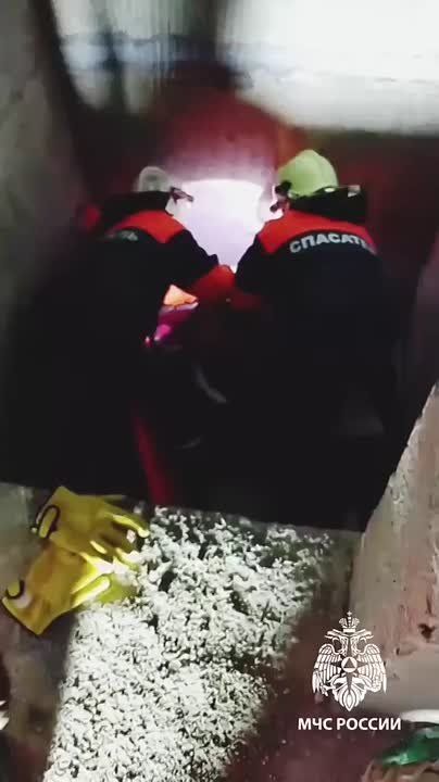 � ������ ��������� �������� ��������, ������� ���� � ����� ����� �� �������