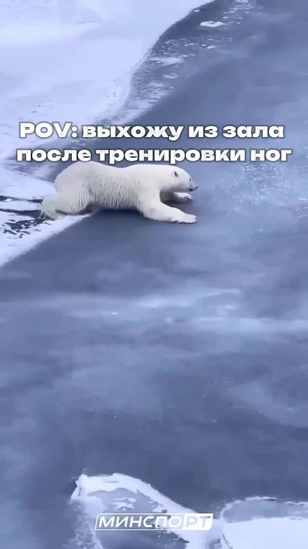 ����������, ������ ����?. ��� ��������� ��������� �����?