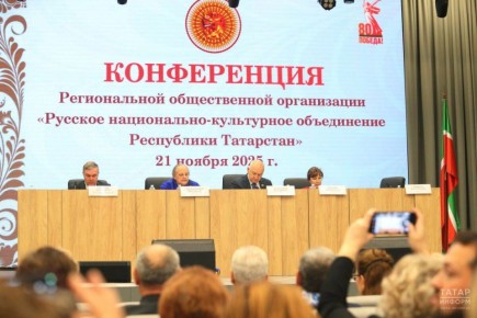 Гильмутдинов: «Езжайте в Татарстан и учитесь! Прекращайте плакать, создавайте организации и работайте»