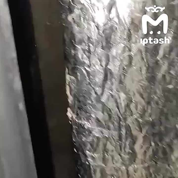 ���� ���� � �������� �� ������� ����������