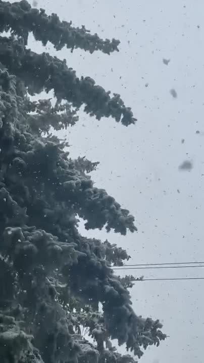 � ���������� ����� ���������� ������� ������ �� ������� ������ ����� �� �����