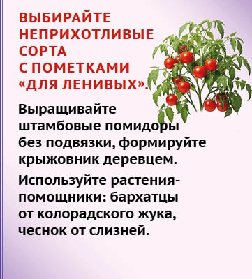 «Грядка лентяя» - мечта каждого садовода? «Грядка лентяя» - мечта каждого садовода?