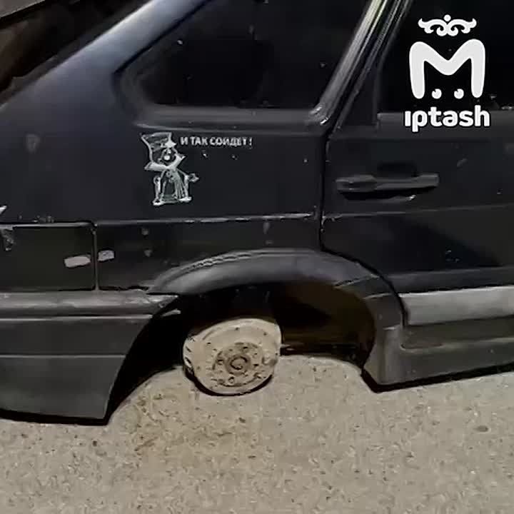 ������� ����� ����� ������ �������� �����