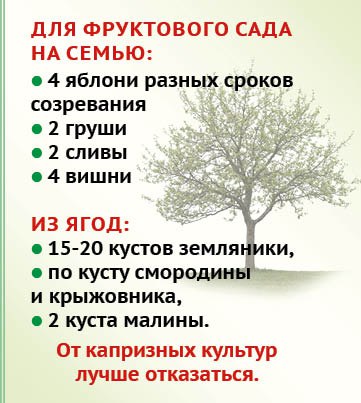 «Грядка лентяя» - мечта каждого садовода? «Грядка лентяя» - мечта каждого садовода?
