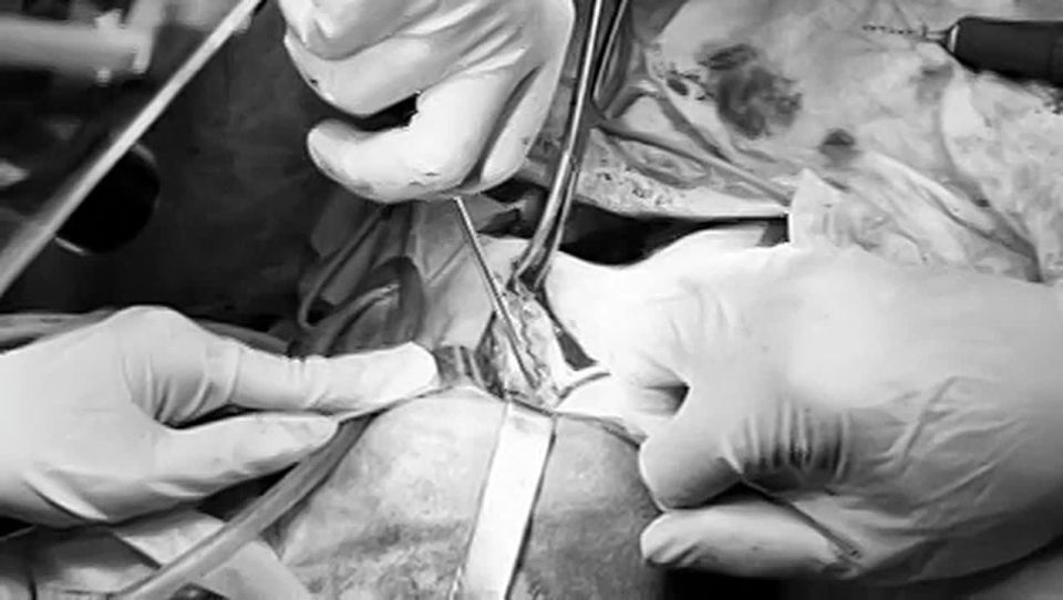 �������� �� ������ ������������ �������, ������� ������� ����� � ������������ �� ��� �� ������