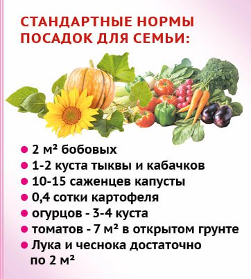 «Грядка лентяя» - мечта каждого садовода? «Грядка лентяя» - мечта каждого садовода?