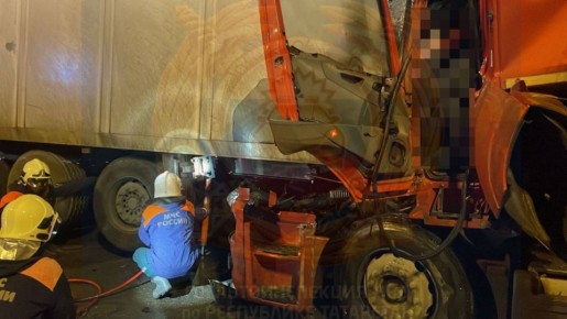  24    33-   ,   ,                   DAF