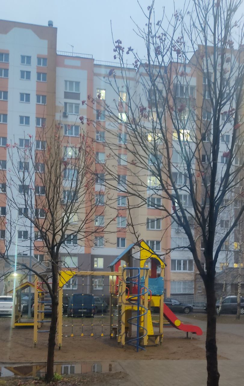 В первой половине дня ожидается потепление до +6 градусов, к вечеру похолодает до 0. Утром дождь