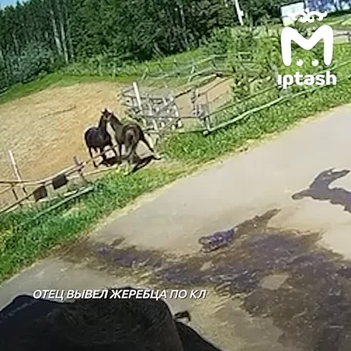 ������ �� "��������" ������������ ������, ������� ������ �� ����� ��������