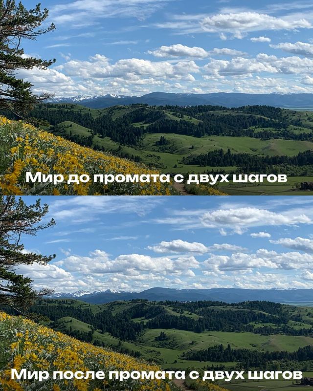 ������� �������� ���������