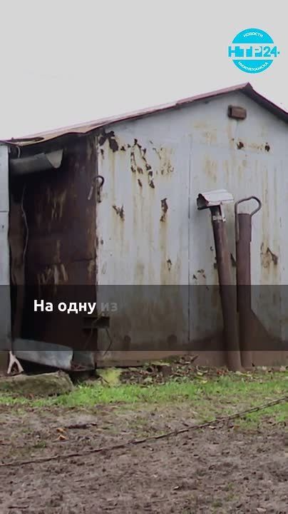 ���� ��� �� �����: ���� � ����� ���� ������