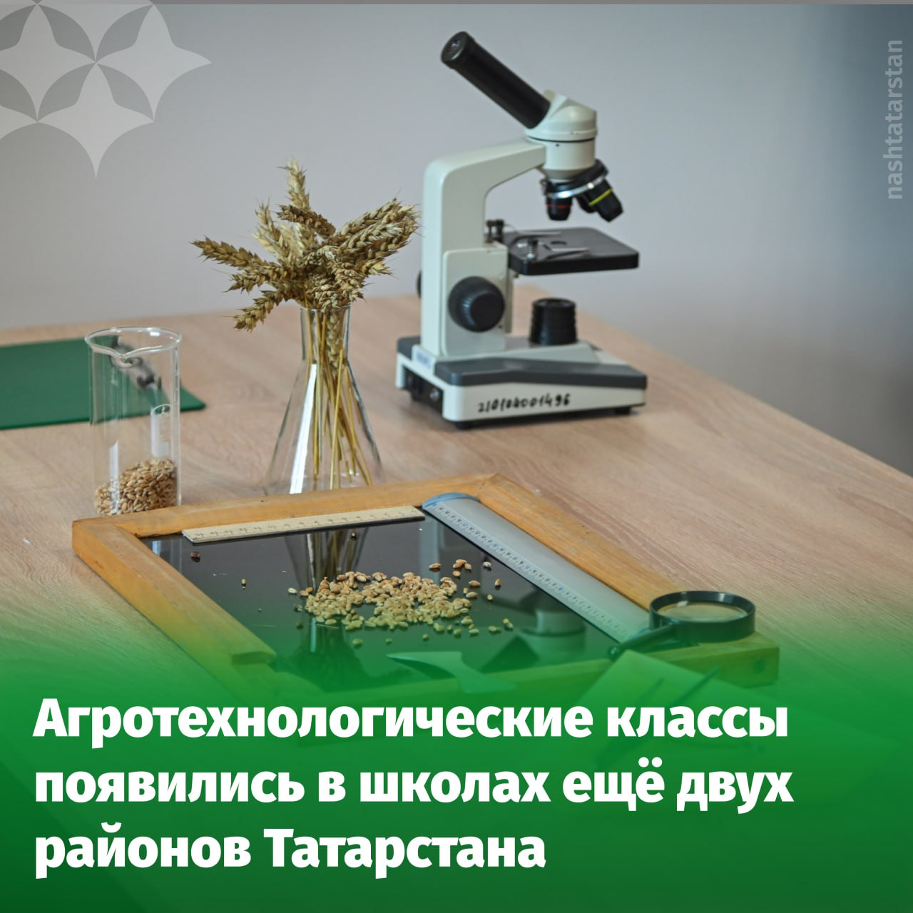 Будущих специалистов агропромышленного комплекса Татарстана будут готовить в школах Сабинского и Лаишевского районов